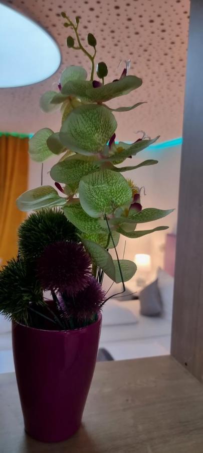 Studio-apartment ' Andrei 1 ' - Neu In Appartamento *